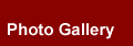 Photo Gallery